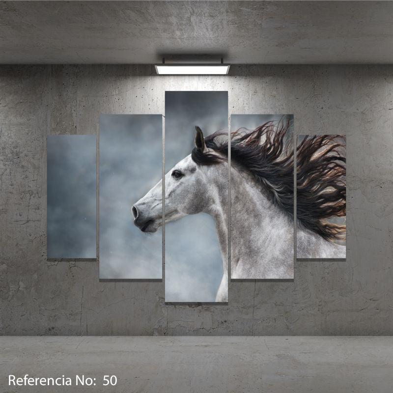 Cuadro decorativo moderno caballo 50